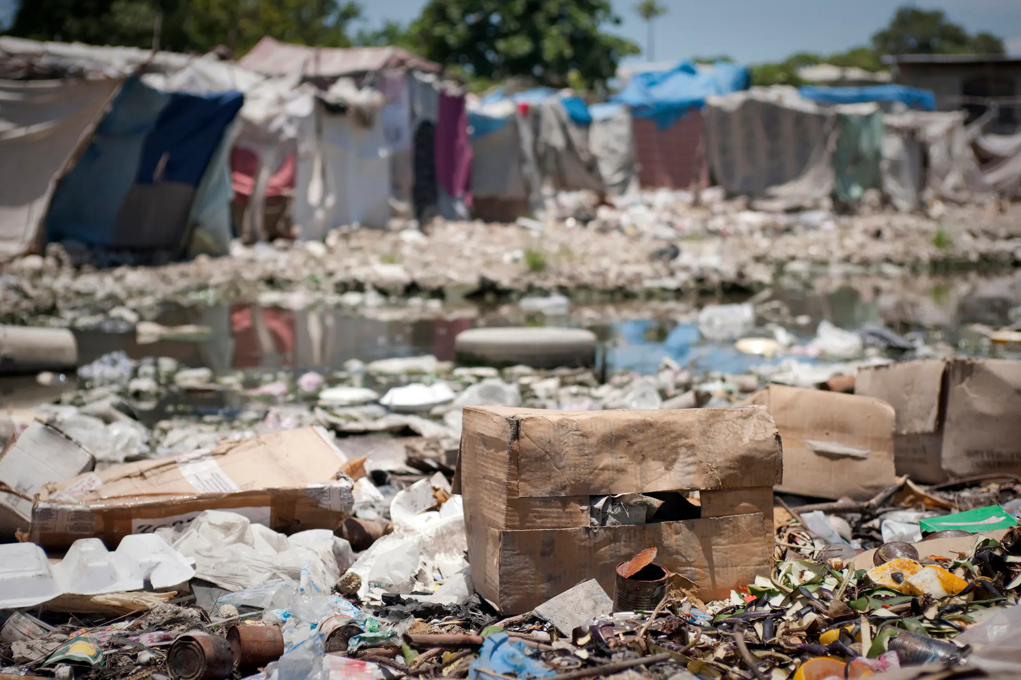 Illustration du choléra, maladie liée à l'eau contaminée