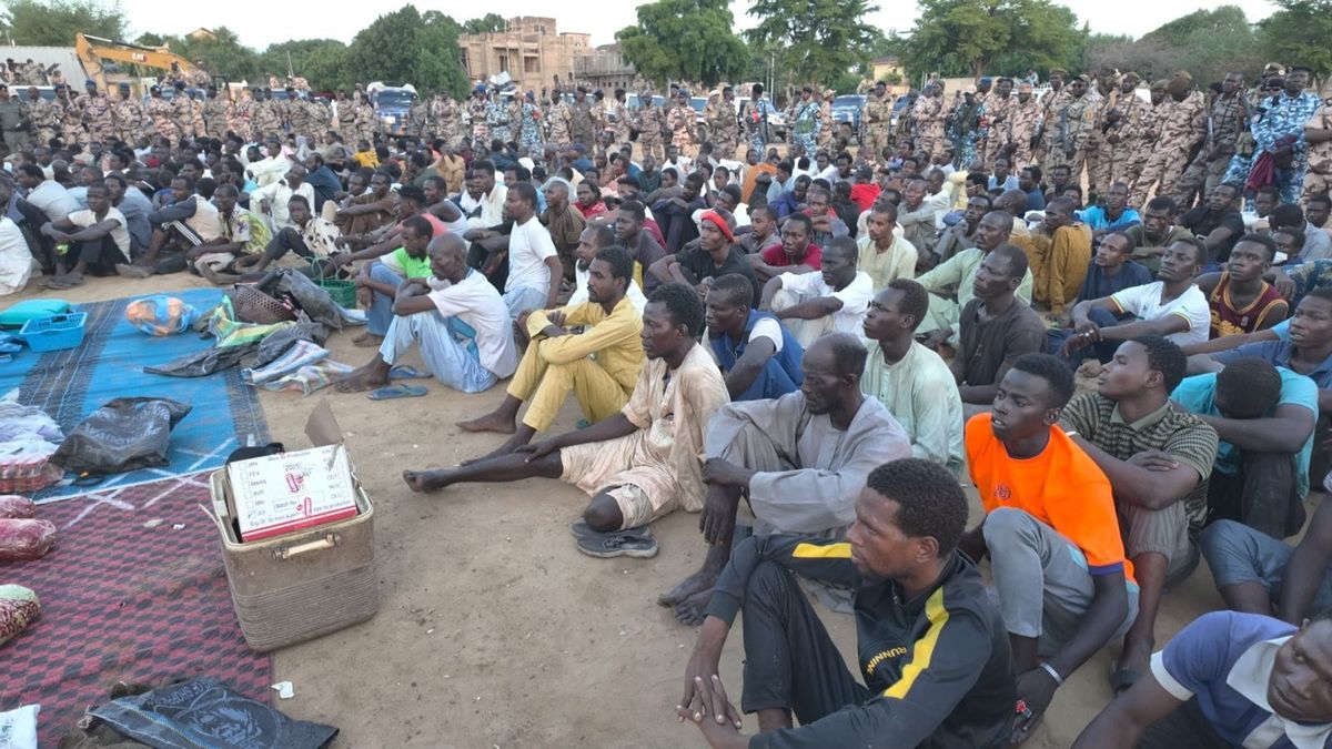 Opération anti-criminalité à N’Djamena : 252 interpellations en une journée